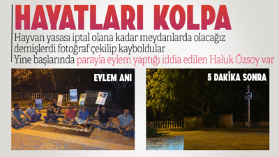 TBMM'de görüşmelerine devam edilen Hayvan Yasası için Muğla'nın Menteşe ilçesindeki