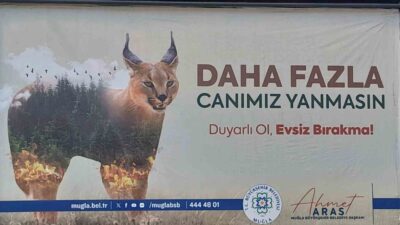 BAŞKAN ARAS’TAN 'ORMAN'IN SIRRI KARAKULAK’LI MESAJ