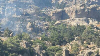 BODRUM’DAKİ MAKİLİK YANGINI KONTROL ALTINA ALINDI