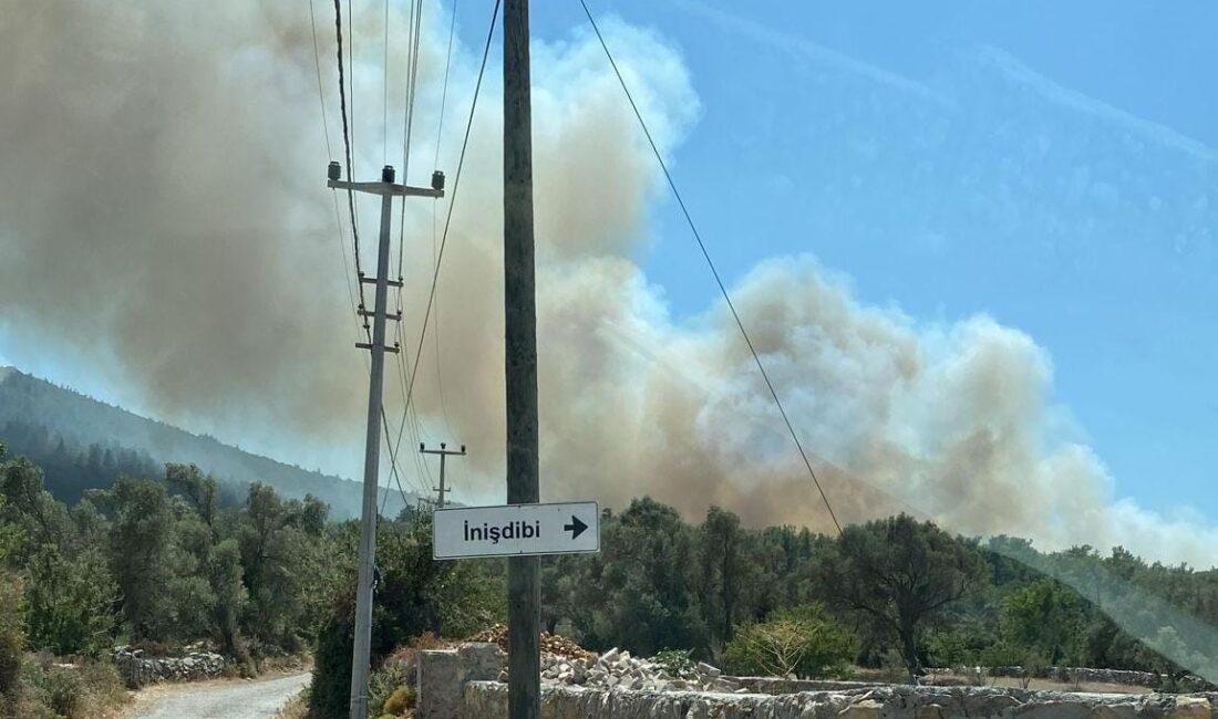 MUĞLA'NIN BODRUM İLÇESİNDE MEYDANA