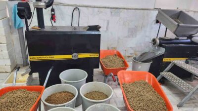 MUĞLA BÜYÜKŞEHİR BELEDİYESİ CAN DOSTLAR İÇİN KOMPOST TEKNOLOJİSİ KULLANARAK BUGÜNE