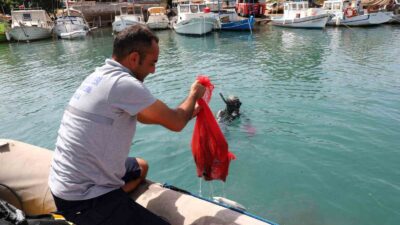 BODRUM BELEDİYESİ TARAFINDAN GERÇEKLEŞTİRİLEN DENİZ DİBİ TEMİZLİK ÇALIŞMASI GÜMBET’TE DEVAM