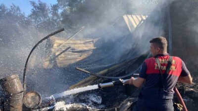 MUĞLA’NIN BODRUM İLÇESİNDE BİR HURDALIK VE HALI YIKAMA İŞLETMESİNDE ÇIKAN