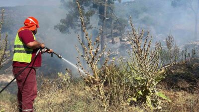 MUĞLA'NIN KAVAKLIDERE İLÇESİNDE ORMAN YANGINI MEYDANA GELİRKEN, EKİPLERİN HIZLI MÜDAHALESİ