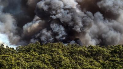 MARMARİS'İN EN BÜYÜK YANGINININ ÜZERİNDEN 3 YIL GEÇTİ.
