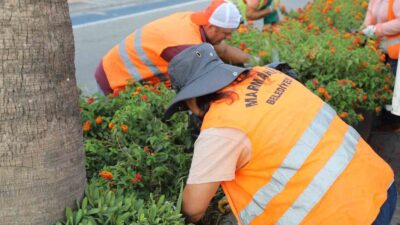MARMARİS BELEDİYESİ PARK VE BAHÇELER MÜDÜRLÜĞÜ EKİPLERİ, İLÇE GENELİNDEKİ ORTA