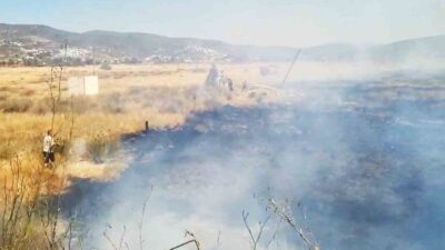 MUĞLA’NIN MİLAS İLÇESİ BOĞAZİÇİ MAHALLESİNDE YOL KENARINDA BAŞLAYAN VE ARDINDAN