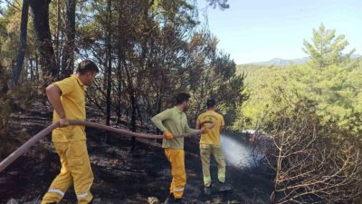 MUĞLA’NIN MİLAS İLÇESİNDE TARIM ARAZİSİNDE BAŞLAYAN VE ORMANA SIÇRAYAN YANGIN