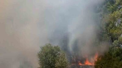 MUĞLA’NIN MİLAS İLÇESİNDE TARIM ARAZİSİNDE BAŞLAYAN YANGINA KARADAN VE HAVADAN
