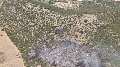 MUĞLA'NIN MİLAS İLÇESİNE BAĞLI DÖRTTEPE MAHALLESİ YAKINLARINDA, ZİRAİ VE MAKİLİK