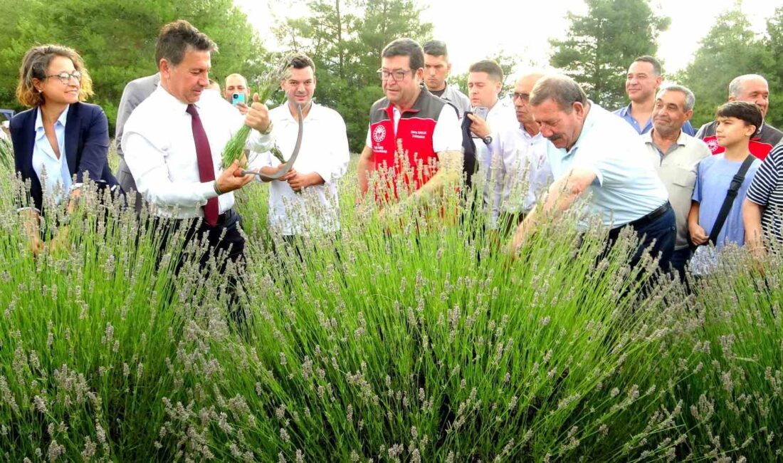 MUĞLA BÜYÜKŞEHİR BELEDİYESİ TARAFINDAN