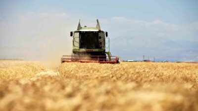 MUĞLA’DA HAVA SICAKLIĞININ YÜKSEK SEYRETMESİ VE ARPA, BUĞDAY GİBİ ÜRÜNLERİN