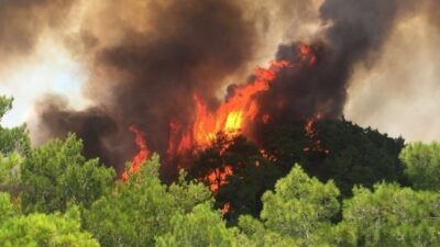 MUĞLA VALİSİ DR. İDRİS AKBIYIK, YAZILI BİR AÇIKLAMA YAPARAK MUĞLA'DA