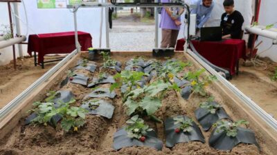 MUĞLA'DA MESLEK LİSELERİNDE ÜRETİLİP GELİŞTİRİLEN “GÜBRE ROBOT” VE “GÜVENLİ ARI