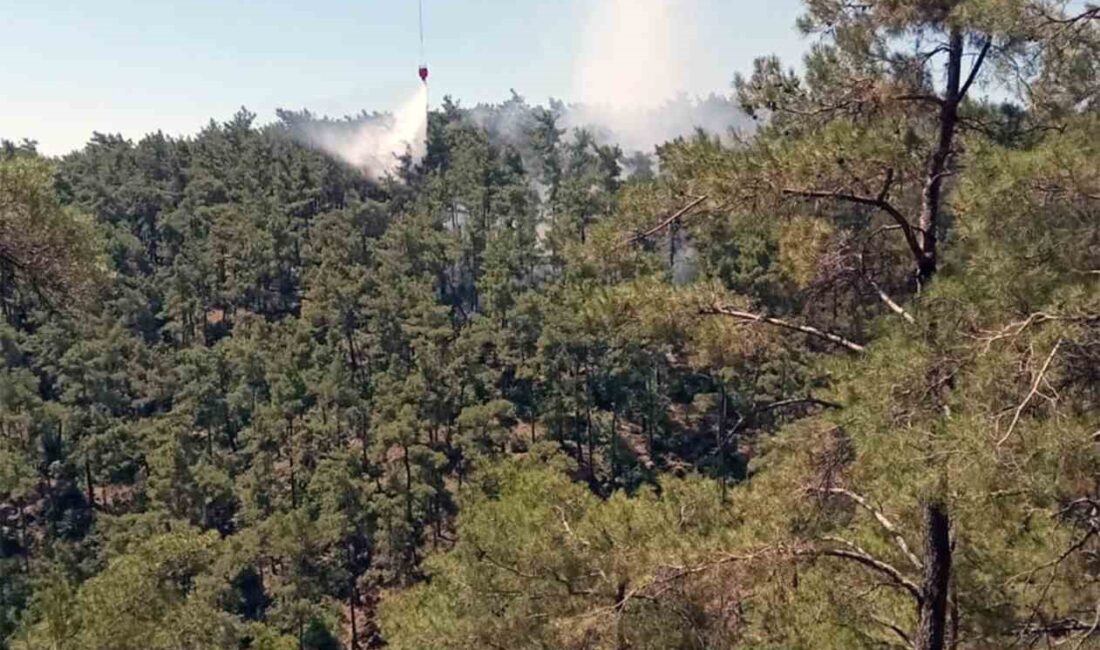 MUĞLA’NIN MENTEŞE İLÇESİ KIRSAL