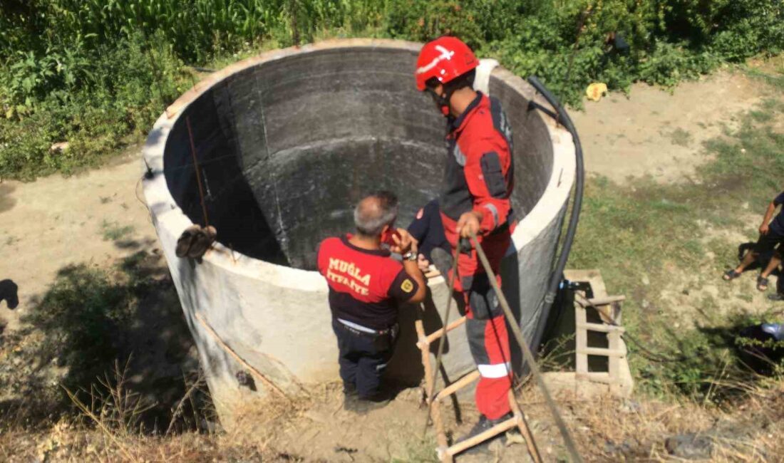 MUĞLA'NIN YATAĞAN İLÇESİNDE 18