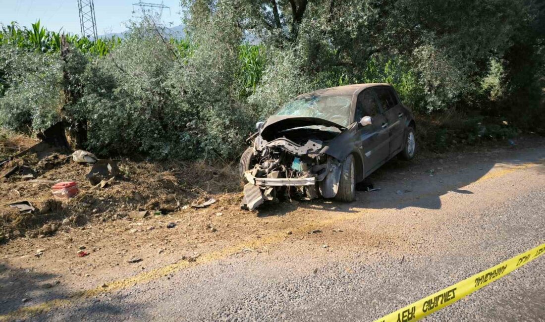 MUĞLA'NIN YATAĞAN İLÇESİNDE MEYDANA