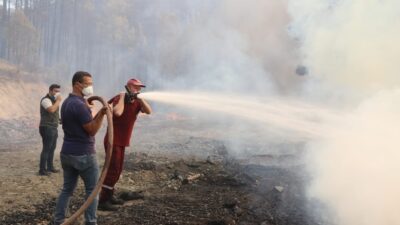 TARIM VE ORMAN BAKANI İBRAHİM YUMAKLI SOSYAL MEDYA HESABINDAN YAPTIĞI