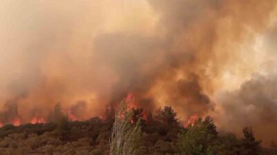 TARIM VE ORMAN BAKANI İBRAHİM YUMAKLI SOSYAL MEDYA HESABINDAN YAPTIĞI