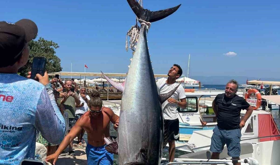 MUĞLA’NIN BODRUM İLÇESİNDE 4