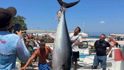 MUĞLA’NIN BODRUM İLÇESİNDE 4 AMATÖR BALIKÇI, 2,5 METRE UZUNLUĞUNDA 370