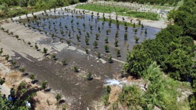 MUĞLA BÜYÜKŞEHİR BELEDİYESİ VERİMLİ TOPRAKLARI İLE TARIM KENTİ OLAN MUĞLA’DA