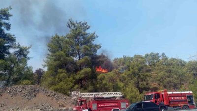 MUĞLA’NIN KÖYCEĞİZ İLÇESİNDE KARAYOLU KENARINDA BAŞLAYAN ORMAN YANGINI HAVADAN VE