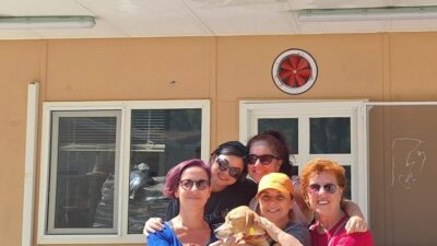 MARMARİS BELEDİYESİ HAYVAN REHABİLİTASYON MERKEZİ 2024 YILI İÇİNDE 157 HAYVANI