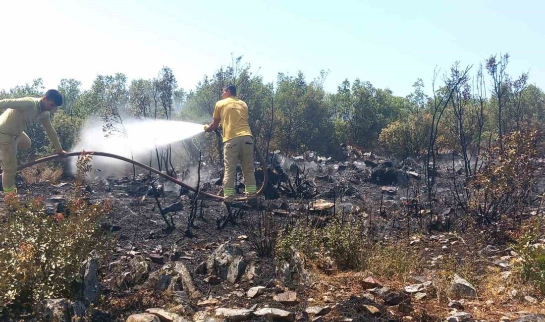 MUĞLA’NIN MENTEŞE İLÇESİ İKİZCE