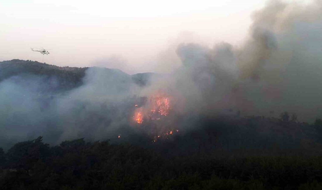 MUĞLA’NIN MİLAS İLÇESİ SEKKÖY