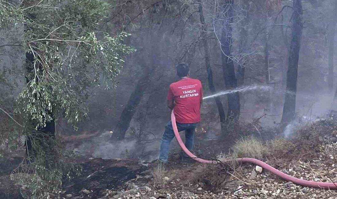 MUĞLA’NIN MİLAS İLÇESİ SEKKÖY