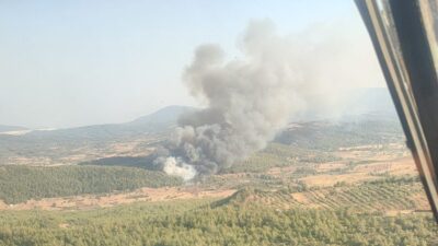 MİLAS’TA ORMAN YANGINI