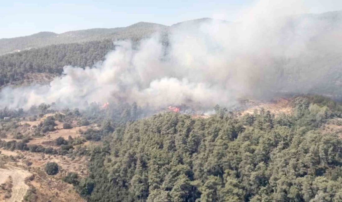 MUĞLA MİLAS İLÇESİNDE BAŞLAYAN