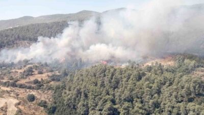 MUĞLA MİLAS İLÇESİNDE BAŞLAYAN ORMAN YANGINI EKİPLERİN HAVADAN VE KARADAN