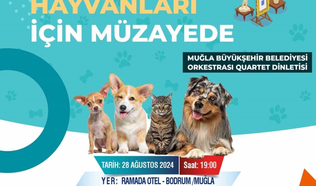 MUĞLA SOKAK HAYVANLARI İÇİN