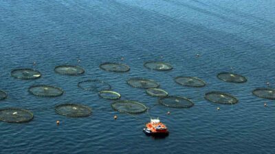 MUĞLA, TEMMUZ’DA 91 MİLYON DOLARLIK İHRACAT İLE EGE’DE 4’ÜNCÜ SIRADA