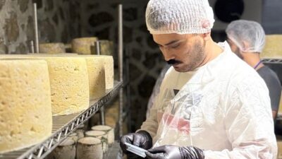 MUĞLA İL TARIM VE ORMAN MÜDÜRLÜĞÜ, 12-29 AĞUSTOS 2024 TARİHLERİ