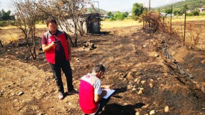 MUĞLALI TARIMSAL ÜRETİCİLERE 6 AYDA 30 MİLYON TL TAZMİNAT ÖDENDİ