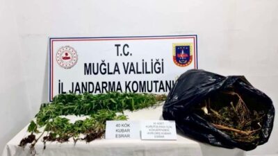 SEYDİKEMER'DE UYUŞTURUCU MADDE VE KENEVİR ELE GEÇİRİLDİ