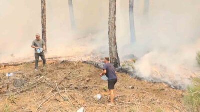 MUĞLA'NIN ULA İLÇESİNDE ÇIKAN ORMAN YANGINI RÜZGARIN ETKİSİYLE HIZLA GENİŞ
