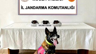 MUĞLA’NIN BODRUM İLÇESİNDE JANDARMA EKİPLERİNCE DÜZENLENEN UYUŞTURUCU OPERASYONUNDA 2 KİŞİ