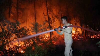 MUĞLA’NIN MİLAS İLÇESİNDE BAŞLAYAN VE RÜZGARIN ETKİSİ İLE YAYILAN ORMAN