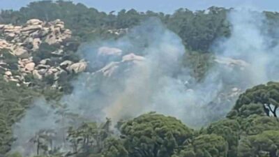 MUĞLA'NIN YATAĞAN İLÇESİNE BAĞLI TURGUT MAHALLESİ'NDE ORMAN YANGINI ÇIKTI.