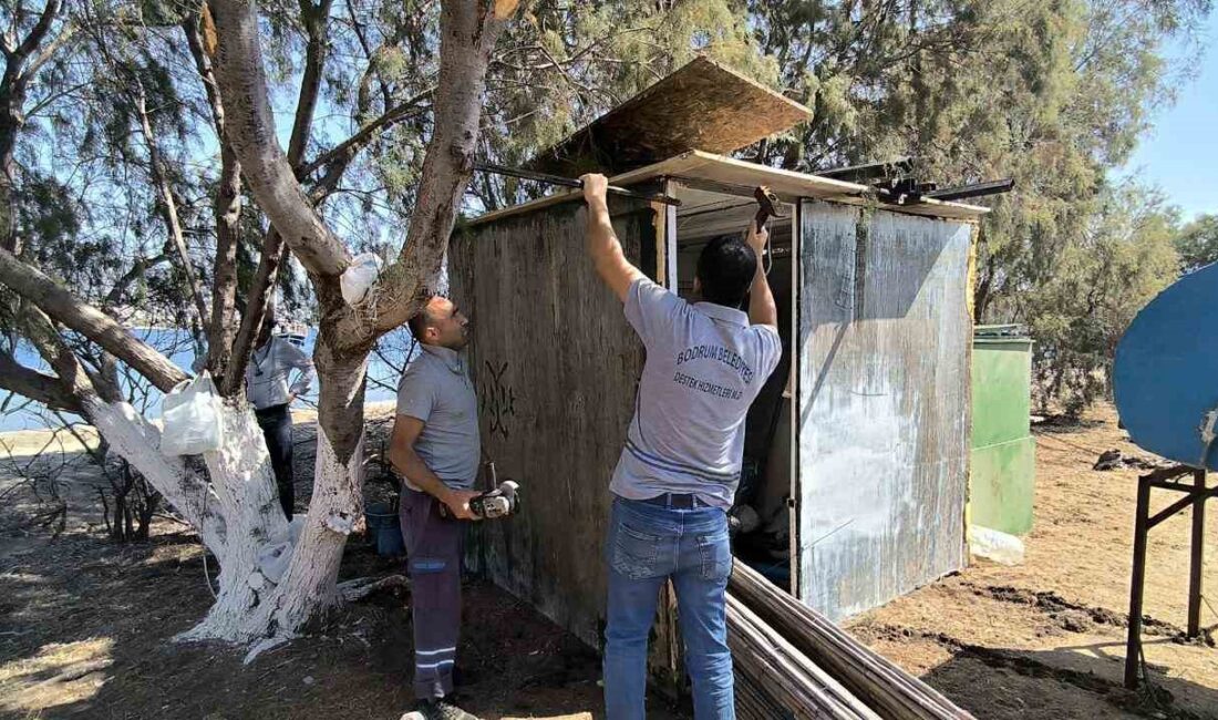 MUĞLA’NIN BODRUM İLÇESİNDE ADAYA