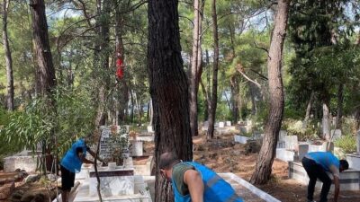 MUĞLA (İHA) - MUĞLA'NIN KÖYCEĞİZ İLÇESİNDE DENETİMLİ SERBESTLİK MÜDÜRLÜĞÜ HİMAYESİNDE