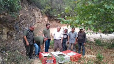 MUĞLA DOĞA KORUMA VE MİLLİ PARKLAR ŞUBE MÜDÜRLÜĞÜ, DOĞAL YAŞAMI