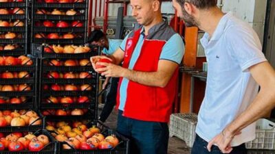 'NİN ÖNEMLİ NAR MERKEZİ ORTACA'DA HASAT SEZONUNU COŞKUYLA KARŞILANIRKEN, MOLDOVA'YA