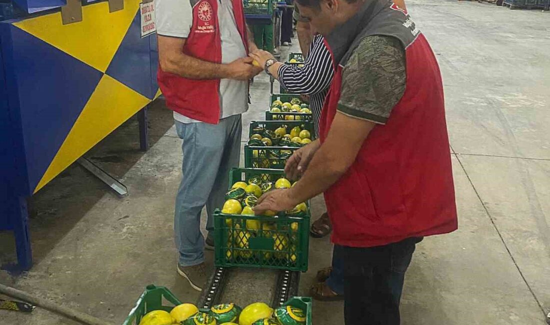 MUĞLA'NIN ORTACA İLÇESİNDEN UKRAYNA,