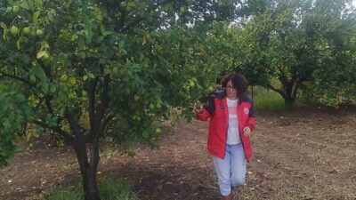 ORTACA İLÇE TARIM VE ORMAN MÜDÜRLÜĞÜ EKİPLERİ, ZARARLILARA KARŞI SIKI