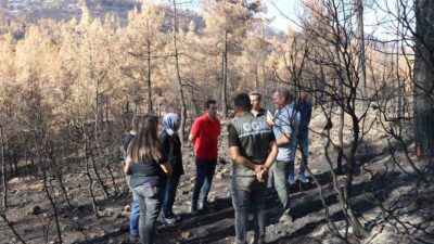 MUĞLA ORMAN BÖLGE MÜDÜRÜ MUSTAFA ÜLKÜDÜR, GEÇTİĞİMİZ GÜNLERDE MEYDANA GELEN
